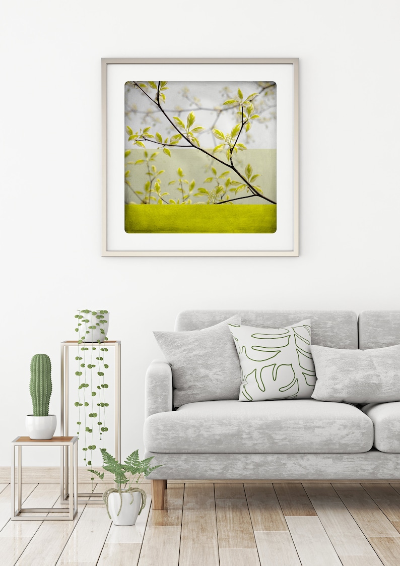 Botanical art print Yellow spring branches photography Living room wall art BEN BRANCHE image 3