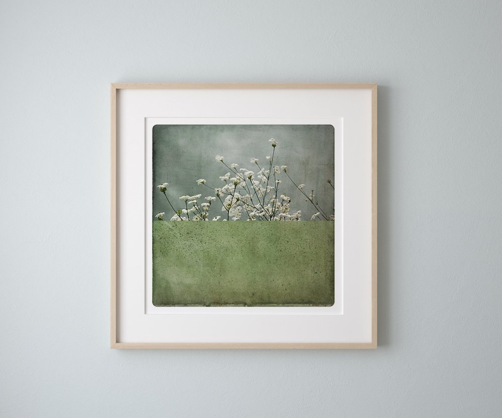 Moss green Botanical art print  Flowers photography Stilllife Wall Art POLE AMANDE