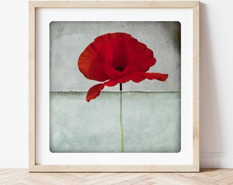 Poppy art print  Photography   Red Poppy Flower with painted vers de gris background  Botanical Wall decor POLE COQ