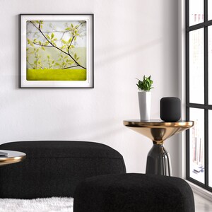 Botanical art print Yellow spring branches photography Living room wall art BEN BRANCHE image 4