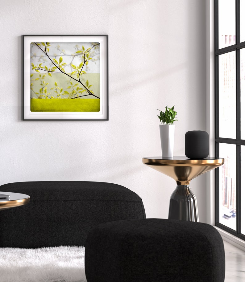 Botanical art print Yellow spring branches photography Living room wall art BEN BRANCHE image 4