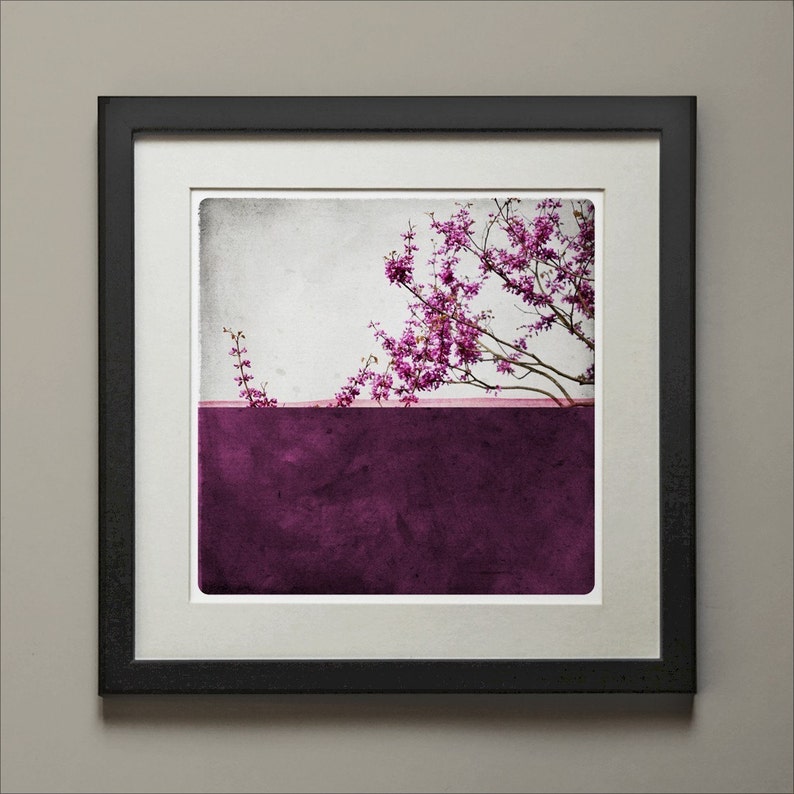 Magnolia flowers Botanical art print Floral photographywith Pink blossoms on a bold purple background POLE PRUNE image 4