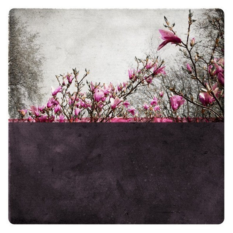 Magnolia flowers Botanical art print Floral photographywith Pink blossoms on a bold purple background POLE PRUNE image 2