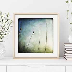 Blue Green winter Nature photography frozen twigs in a cold abstract painted landscaper Ice Ice twigs  Minimalist wall decoration EBLOUIE 2