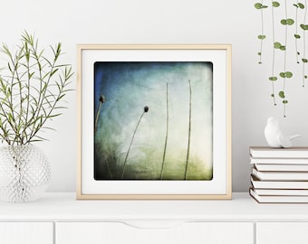 Blue Green winter Nature photography frozen twigs in a cold abstract painted landscaper Ice Ice twigs  Minimalist wall decoration EBLOUIE 2