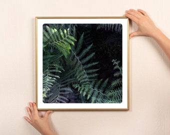 Macro Photography Textures in nature  texture with painted details Fine Art Print Vegetal FLOU