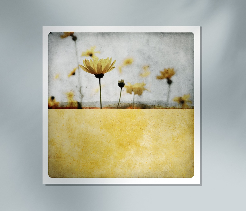 Gold Yellow Botanical photography art print flower Monochromatic color Block Painting Wall Art Decor POLE CI image 4