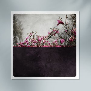 Magnolia flowers Botanical art print Floral photographywith Pink blossoms on a bold purple background POLE PRUNE image 8