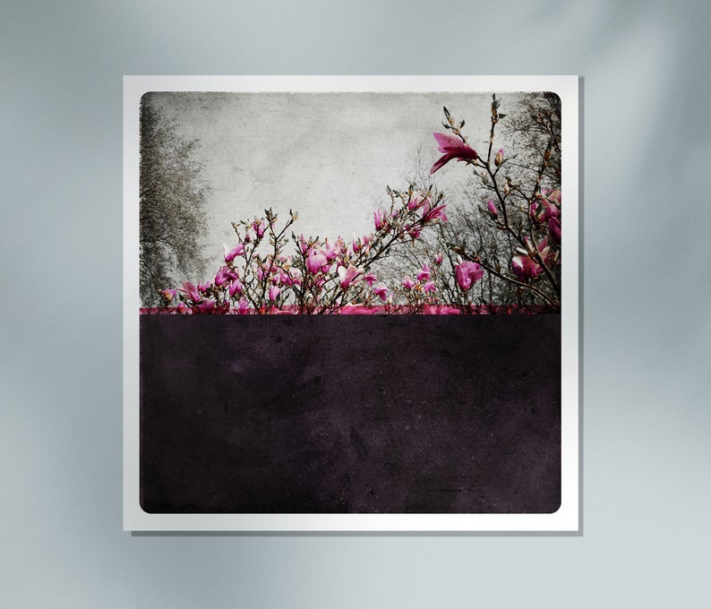 Magnolia flowers Botanical art print Floral photographywith Pink blossoms on a bold purple background POLE PRUNE image 8