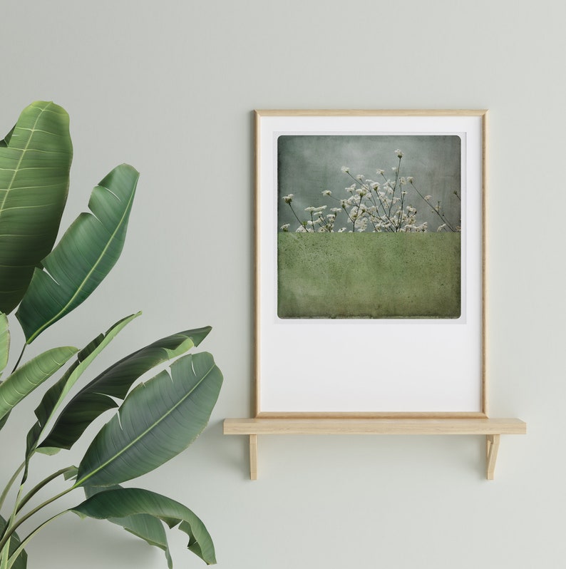 Moss green Botanical art print Flowers photography Stilllife Wall Art POLE AMANDE image 7