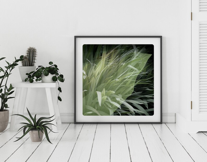 Botanical Photography Textures in nature texture with painted details Fine Art Print Vegetal HER image 1