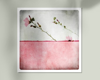 Pink Flower Photography Art Print: Monochromatic Color Block Pole Rose