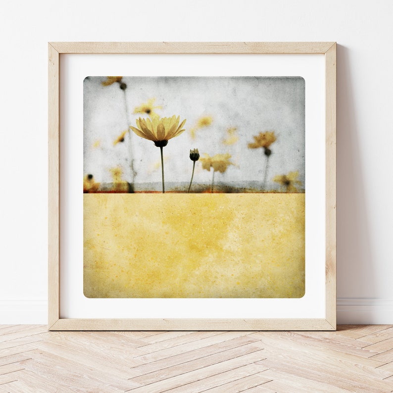 Gold Yellow Botanical photography art print flower Monochromatic color Block Painting Wall Art Decor POLE CI image 1