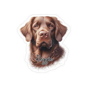 Custom Chesapeake Bay Retriever Sticker, Cute Dog Die-Cut Vinyl, Car Decal, Pet Lover Gift, Outdoor Waterproof Personalize Name Laptop Decal