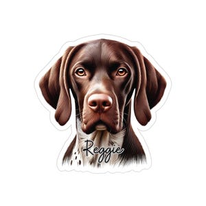 Peut inclure: Autocollant représentant un chien de race Braque allemand. Le chien est brun avec une tache blanche sur la poitrine et le nom "Reggie" est écrit en cursive. Les yeux du chien sont de couleur ambre chaud.