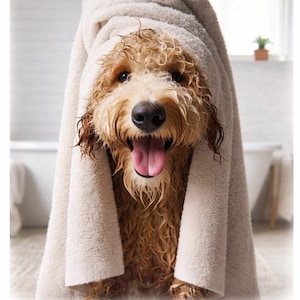 Funny Golden Doodle Bathroom Wall Art – Dog with Towel on Head Print, Dog Bath Decor, Goldendoodle Gift, Unframed Poster