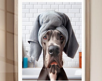 May include: A Great Dane dog with a gray towel wrapped around its head, looking directly at the camera. The dog is in a bathroom setting with white tile walls.