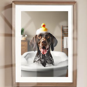 May include: A brown and white dog with a yellow rubber duck on its head sits in a white bathtub filled with bubbles.
