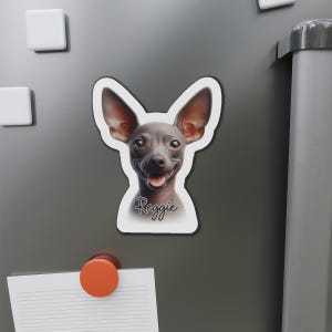 Personalized Xoloitzcuintli Magnet with Dog Name, Custom Car or Fridge Xoloitzcuintli Magnet, Xolo Gift for Dog Lovers, Xolo Mom