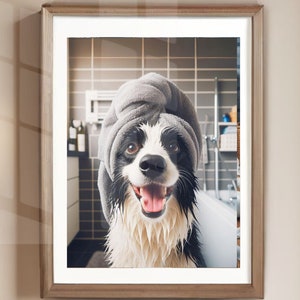 May include: A black and white border collie dog with a grey towel wrapped around its head, looking at the camera with a happy expression. The dog is wet and appears to have just had a bath.