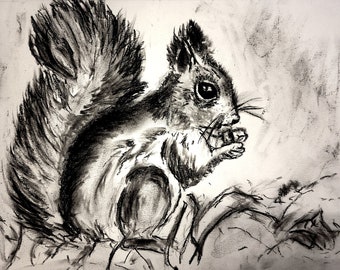 Spring Squirrel Charcoal Sketch 8 x 10 print