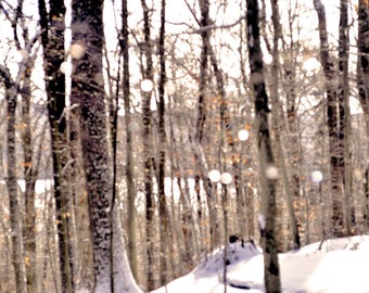 Dreamy Bokeh Adirondack Forest Kane Mountain Photo 8 x 12