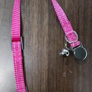 Personalized Breakaway Cat Collar, Custom Name Engraved Cats Collar with Bell, Adjustable & Reflective Kitten Collar, Quick Release Buckle image 11