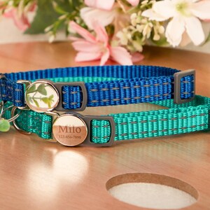 May include: Two pet collars, one teal and one blue, with reflective stitching. Each collar has a silver-colored buckle and a circular tag. One tag has a leaf design, the other has a name and phone number. A small bell hangs from one collar.