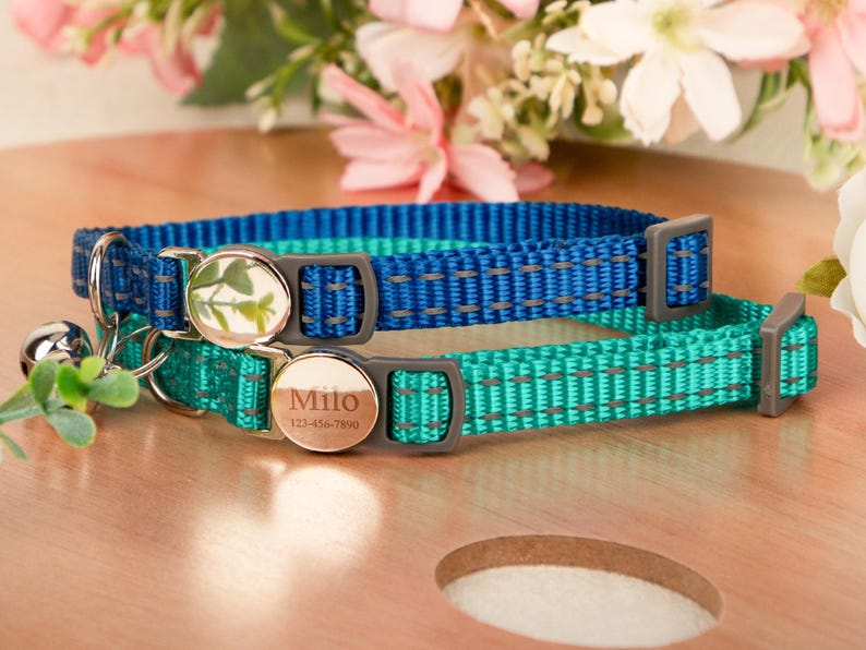 May include: Two pet collars, one teal and one blue, with reflective stitching. Each collar has a silver-colored buckle and a circular tag. One tag has a leaf design, the other has a name and phone number. A small bell hangs from one collar.
