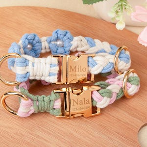 May include: Two personalised dog collars. One is blue and white with a gold buckle engraved with "Milo" and a phone number. The other is green, pink, and white with "Nala" and a phone number on the gold buckle. Both have gold rings.