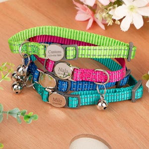 May include: Four personalized cat collars in green, pink, blue, and teal. Each collar has a silver buckle with a name and phone number. The collars have a reflective stripe and a small bell.