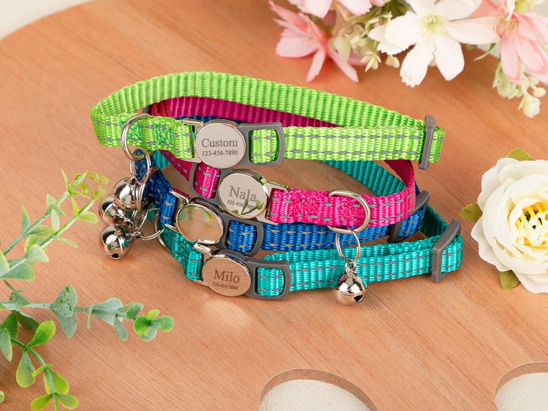 May include: Four personalized cat collars in green, pink, blue, and teal. Each collar has a silver buckle with a name and phone number. The collars have a reflective stripe and a small bell.