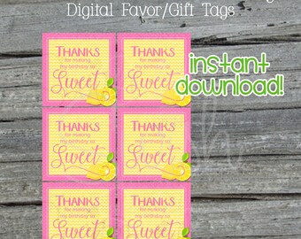 Mason Jar Pink Lemonade Printable Favor Tags | Birthday Tags | gift tags | first birthday | Digital Download | Instant Download