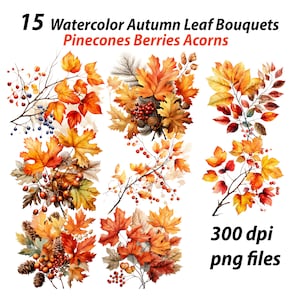 15 prachtige herfstbladeren, dennenappels en bessen. Stationaire clipart-wenskaarten scrapbooking Uitnodigingen Thanksgiving Halloween