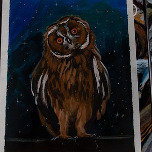 Illustrazione di un gufo notturno, illustrazione originale dipinta a mano, regalo artistico per gli amanti della natura, illustrazione per bambini, pittura a guazzo A4
