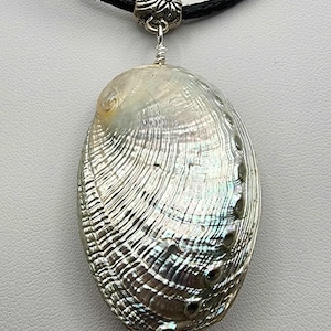 May include: A silver abalone shell pendant on a black leather cord necklace. The shell has a pearlescent iridescent sheen.