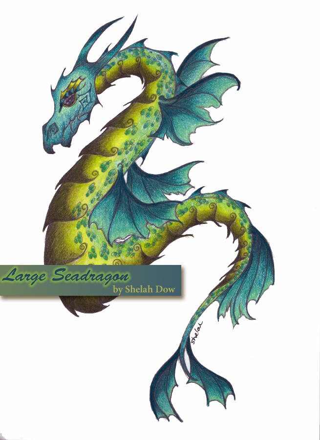 Dragon Wings and Wild Things A Fantasy Coloring Book for Etsy