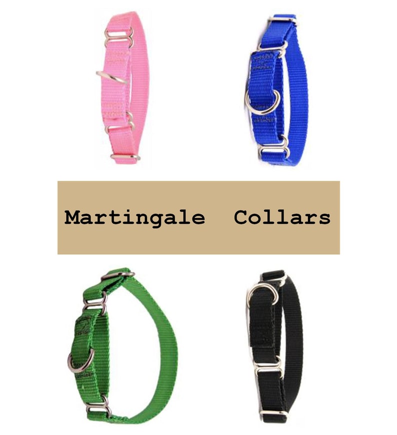 martingale collar hardware