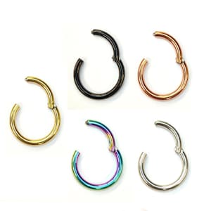 Helix Hinged Ring Piercing Titanium/ 316L Surgical Steel Cartilage Hoop Earrings 18g 16g Body Jewelry - 1pc each order