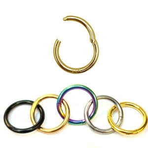 Rook Piercing in 14K Solid Gold or Titanium Implant Grade ASTM F136 Segment Hinged Hoop Earrings 18g 16g Body Jewelry - 1pc each order