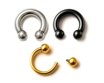 Titanium Horseshoe Ring: Prince Albert, Septum, Ear Piercing - ASTM F136