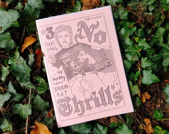 NO THRILLS #3 - perzine about steddie