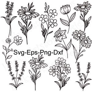 Fleurs sauvages Svg, fleurs Svg, Floral, fleurs sauvages Png, fleur croquis Svg, vecteur, Silhouette, téléchargement numérique