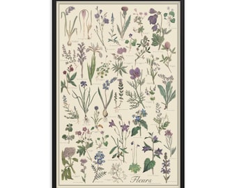 Framed Fleur Antique-Style Botanical Chart Poster, Blue and Violet Flowers by Sowerby, Framed 24"x36" botany flower print