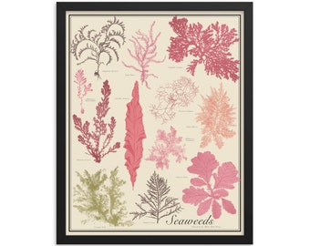 Framed Seaweeds No. 2 Antique-Style Botanical Chart Poster, Earth tones, Unframed 16"x20" print Active