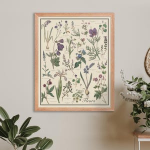 Quadro de identificação de plantas estilo vintage 16x20 emoldurado Fleur Flowers, pôster científico floral violeta com moldura em preto, branco ou madeira