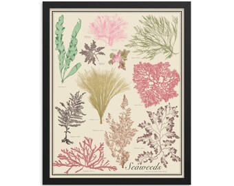 Framed Seaweeds No. 1 Antique-Style Botanical Chart Poster, Earth tones, 16"x20" print