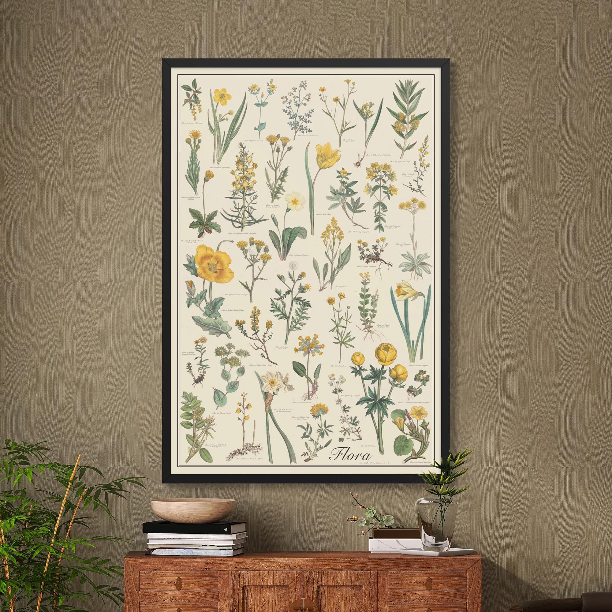 Flora Framed 24x36 Vintage-style Flower Identification Chart