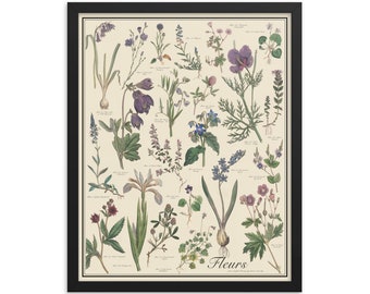 Framed Fleur Antique-Style Botanical Chart Poster, Blue and Violet Flowers by Sowerby, Framed 16"x20" botany flower print