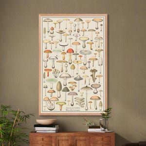 Essbare Pilze 2 gerahmte 24x36 Vintage Art Pilzbestimmungskarte, buntes wissenschaftliches Plakat der Pilze mit Rahmen in schwarz, weiß oder Holz